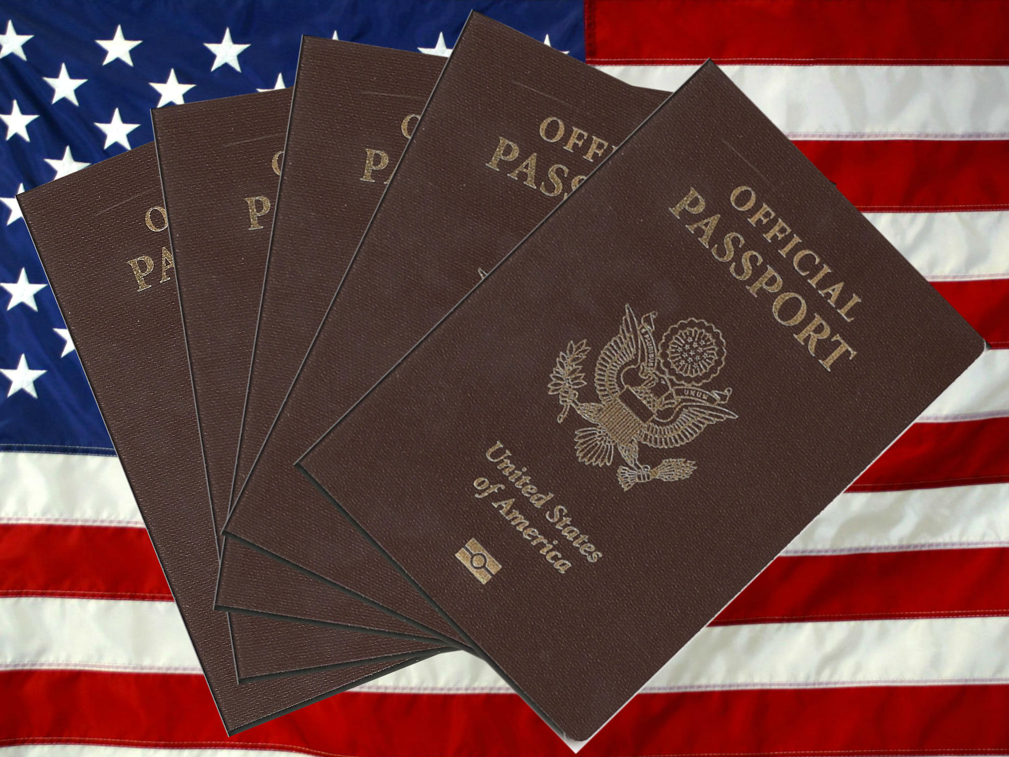 ordinary passport vs official passport